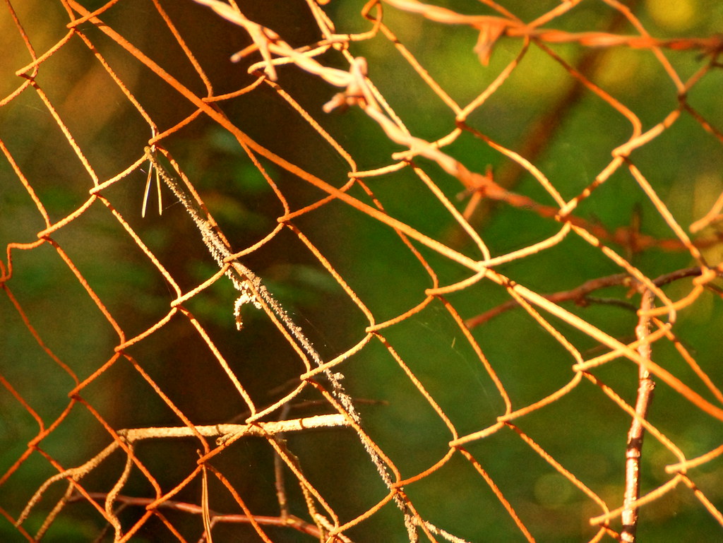 Anping: China's Wire Mesh and Fencing Capital — A Sourcing Guide for Saudi Importers