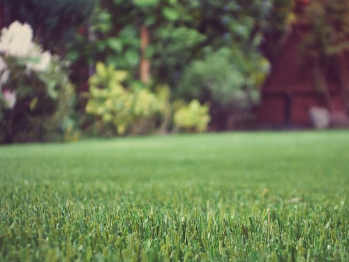 Importing Artificial Grass and Turf from China