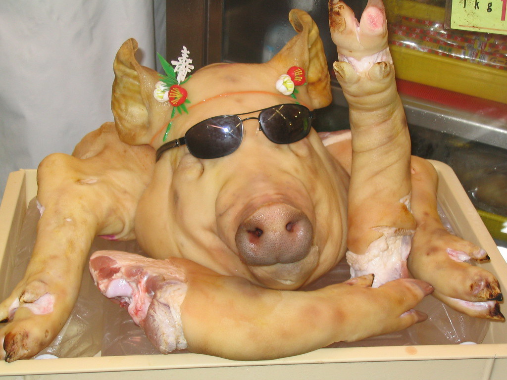Importing Butcher Shop Equipment from China to Saudi Arabia