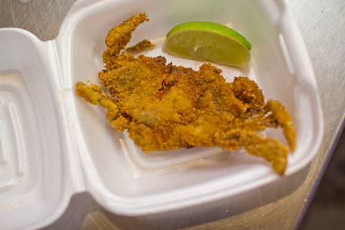 Importing Frozen Seafood from China to Saudi Arabia