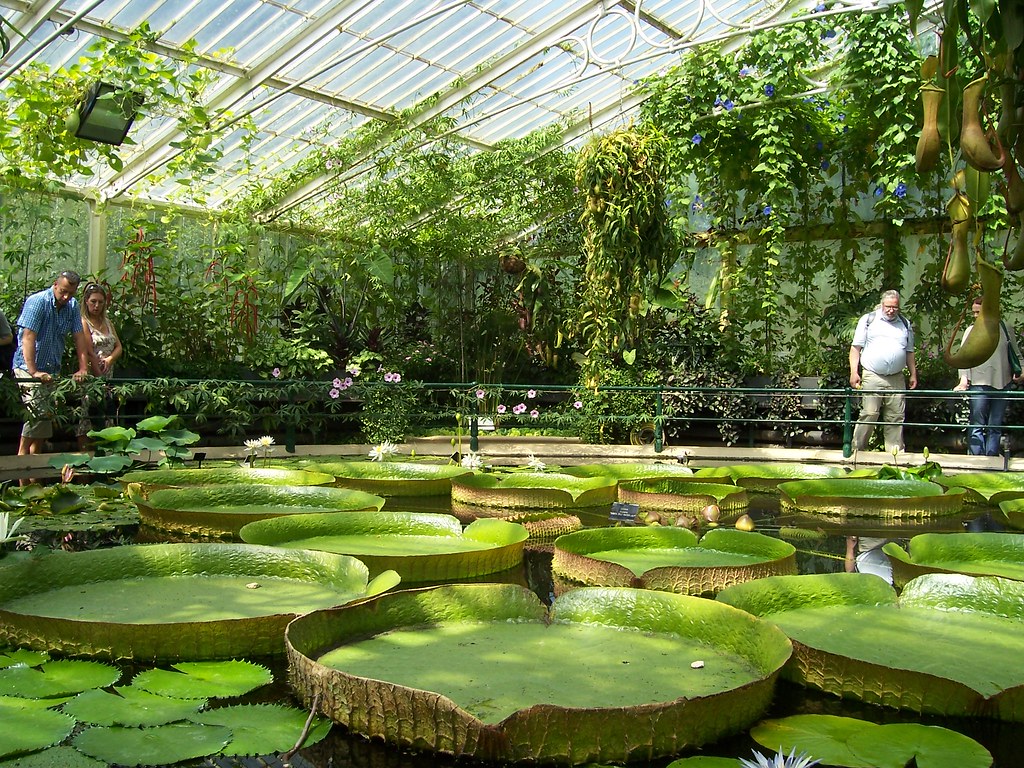 Importing Greenhouse Equipment from China to Saudi Arabia: The Agri-Investor's Guide