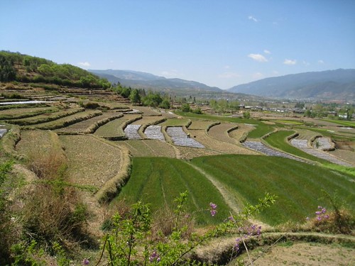 Importing Irrigation Systems from China to Saudi Arabia: Drip, Sprinkler, and Fertigation