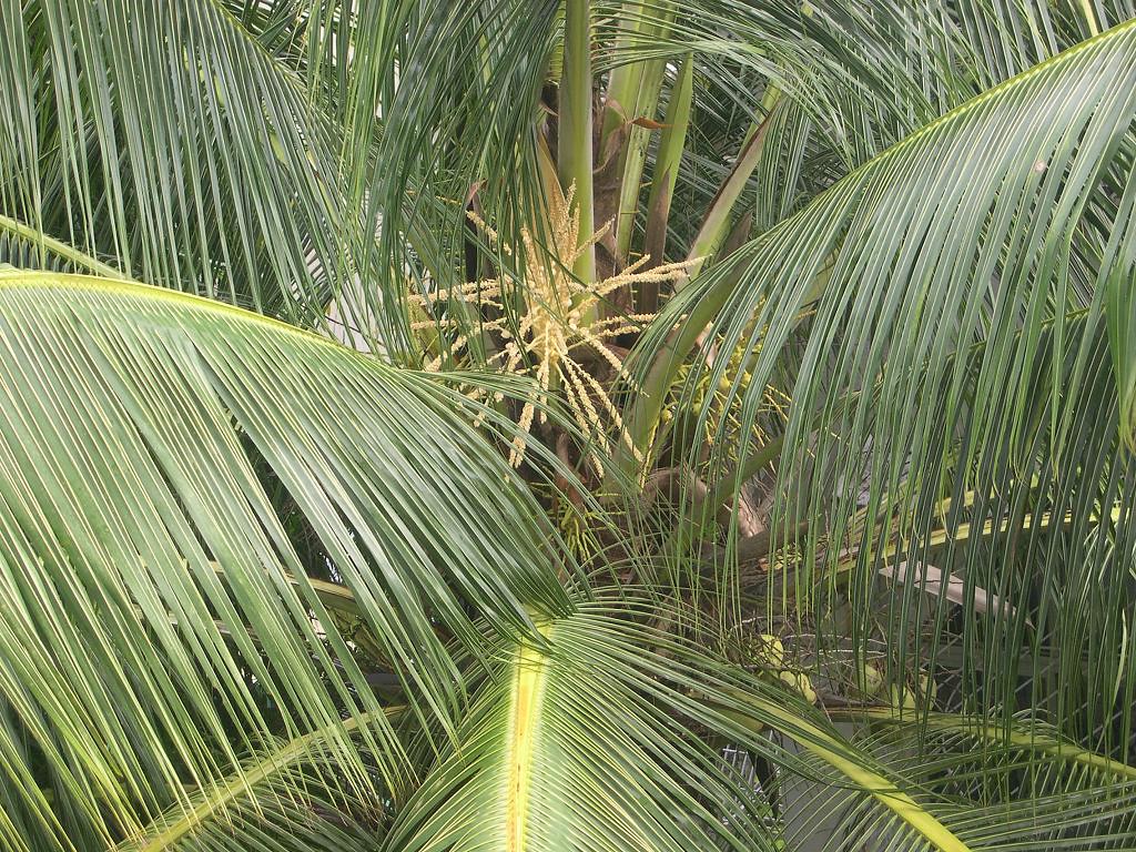 Summer Season Products for the Gulf Market: What to Import from China and How to Profit